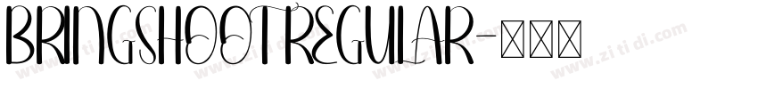 BRINGSHOOT REGULAR字体转换
